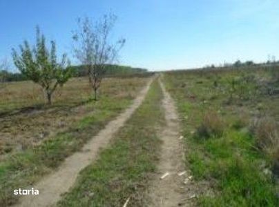 Teren Branceni, ID: R2942560