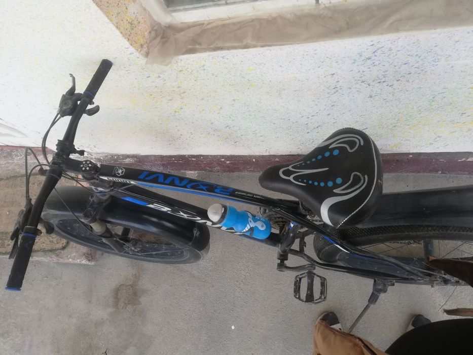 Bonvi Sport Velik