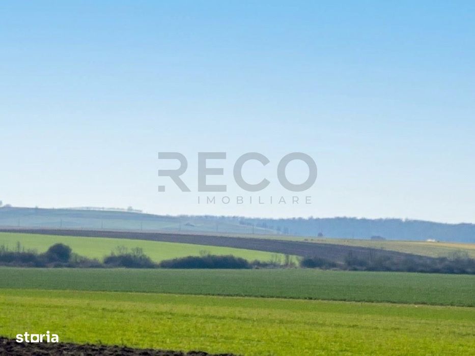 RECO Teren  pentru investitie  4ha Tauteu-Zona Autostrazii Transilvani