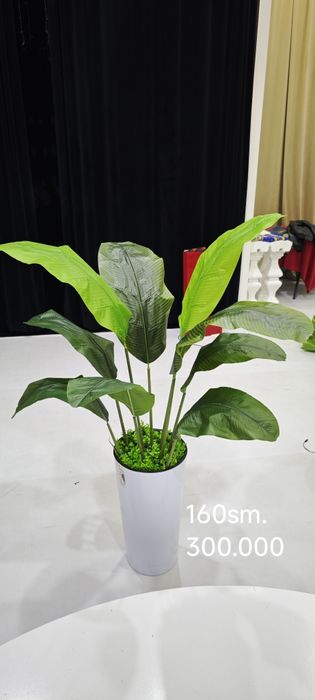 Suniy daraxt va gullar Искусственные цветы и деревья