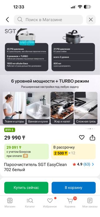 Пароочиститель. SGT EasyClean 702 белый