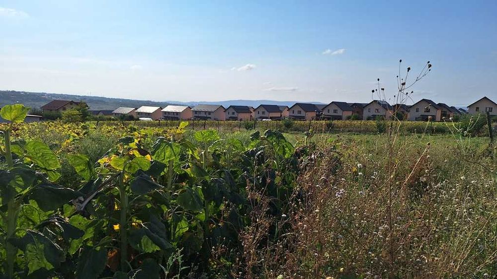 Vand teren intravilan, 5000 mp, Iasi, Rediu, Podisul Beldiman