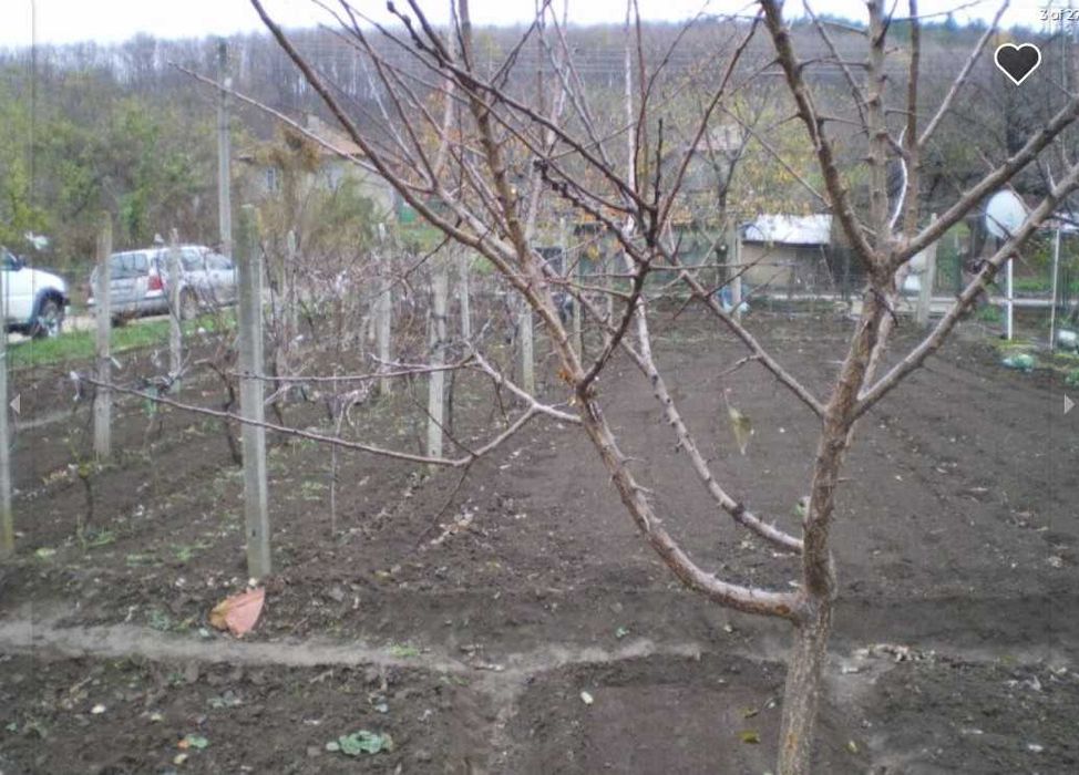 Продава се Къща в с. Гарван, Област Силистра - 100 кв.м за 109 €/кв.м - Снимка #3