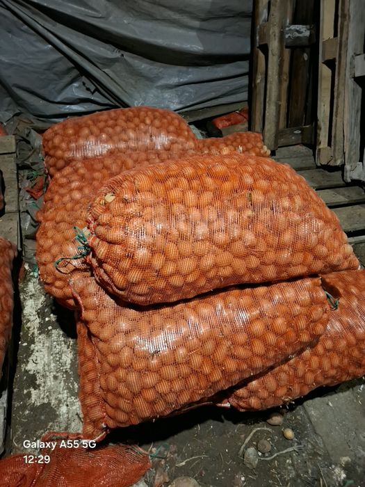 Продам семена или на еду