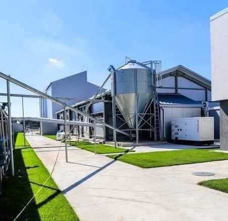 Vand Oua Bio, productie Ferma de la Gaini Isa Brown
