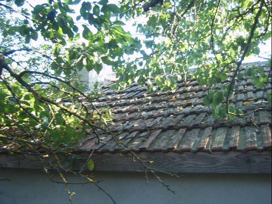 Къща с голям двор в Свобода