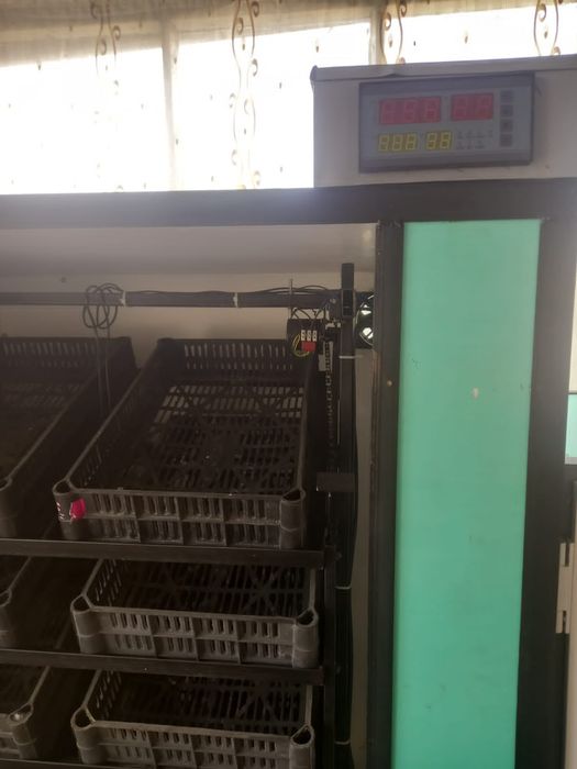 Продаю инкубатор большие
