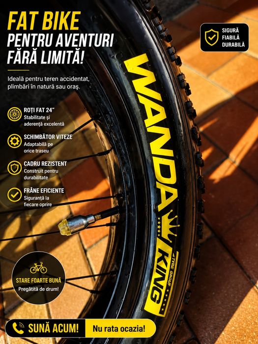 Bicicleta  fat bike