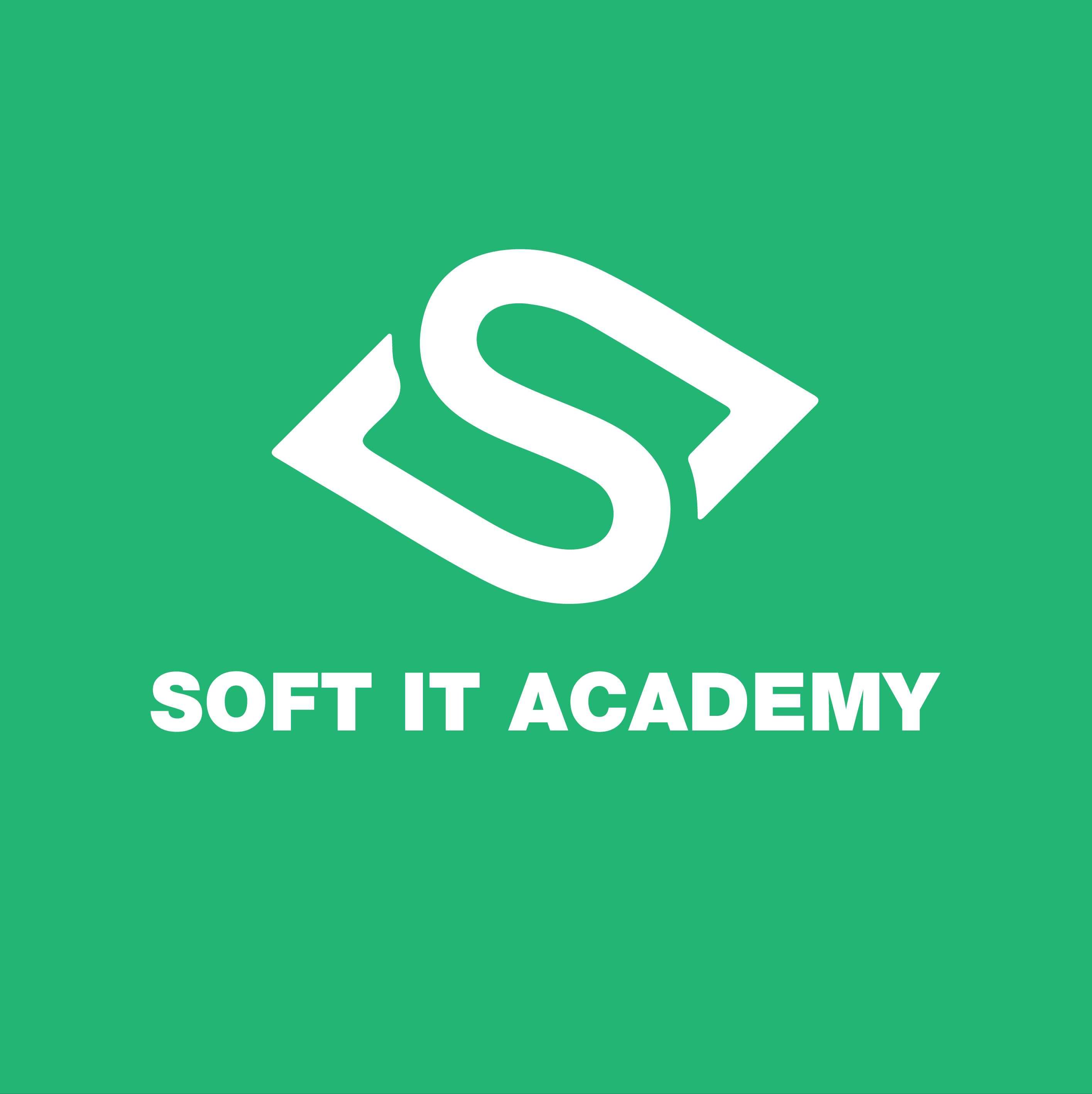 Soft Academy. BEPRO it Academy.