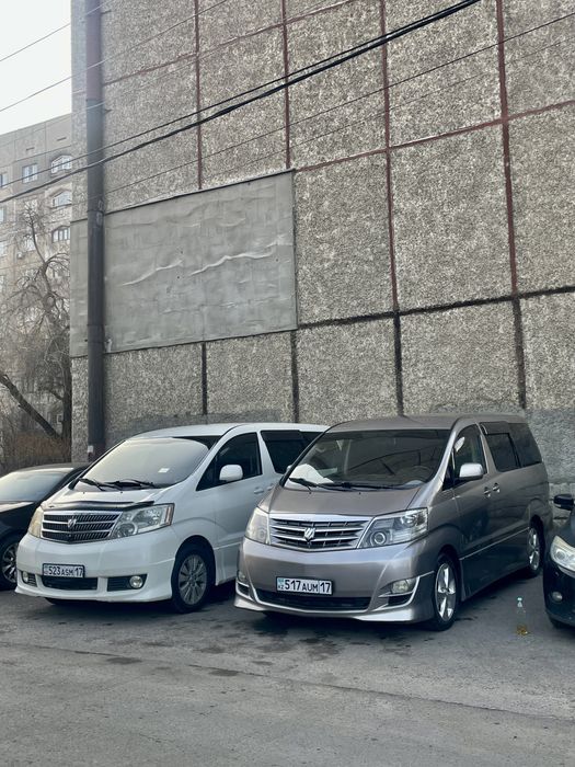 Услуги трансфера,минивен
