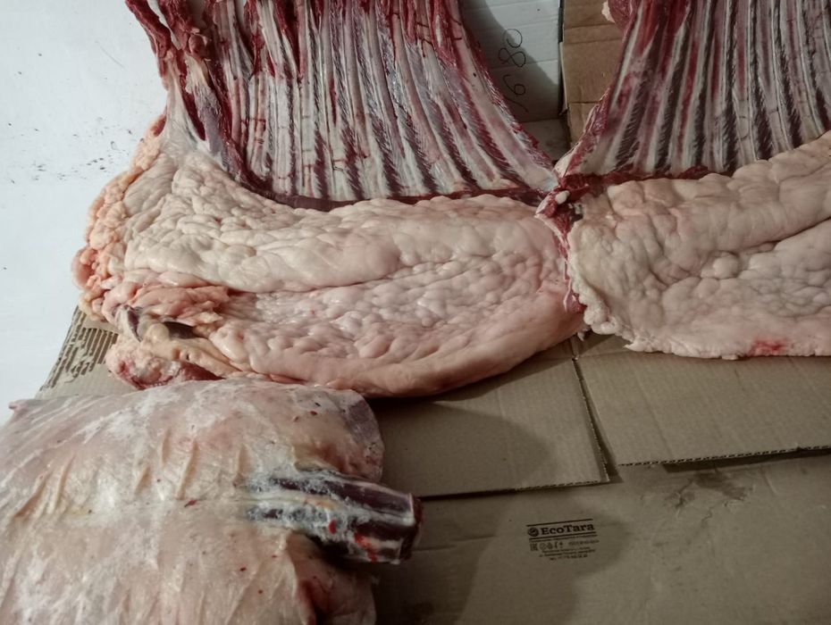 Продам конину. Мясо. Ет.