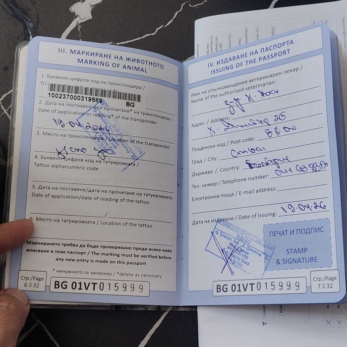 Hемска Oвчарска със чип и всички ваксини