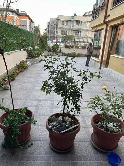 Дава се под наем Четиристаен апартамент в София, Витоша - 120 кв.м за 1100 € - Снимка #21