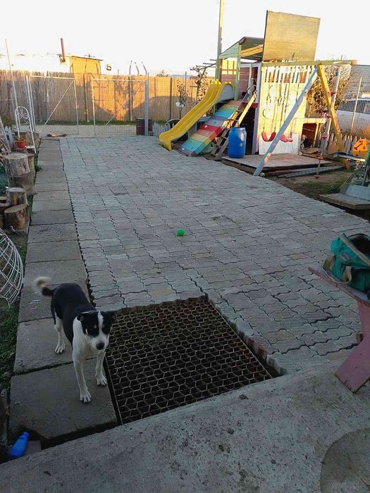 Teren de vânzare Navodari