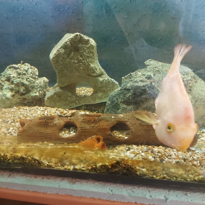 Продавам Аквариум 170л