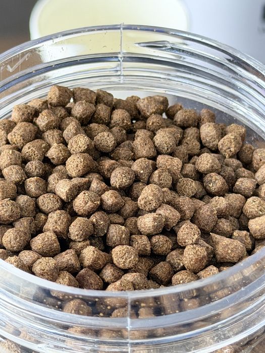 Сазан (карп) учун Премиум озуқа