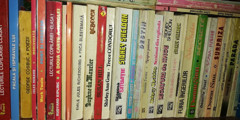 Cărți de dragoste, Danielle steel