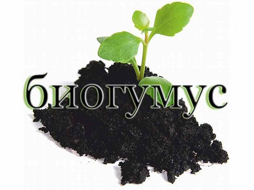 Биогумус Biogumus