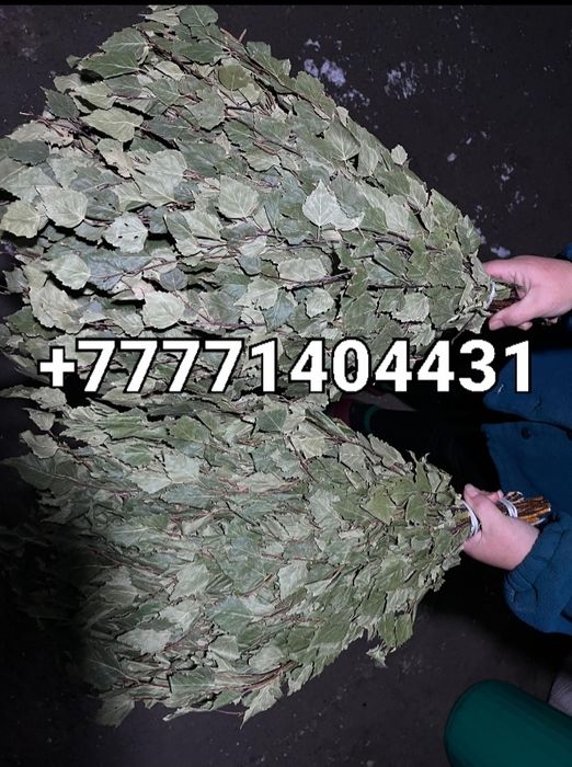 Березовые веники