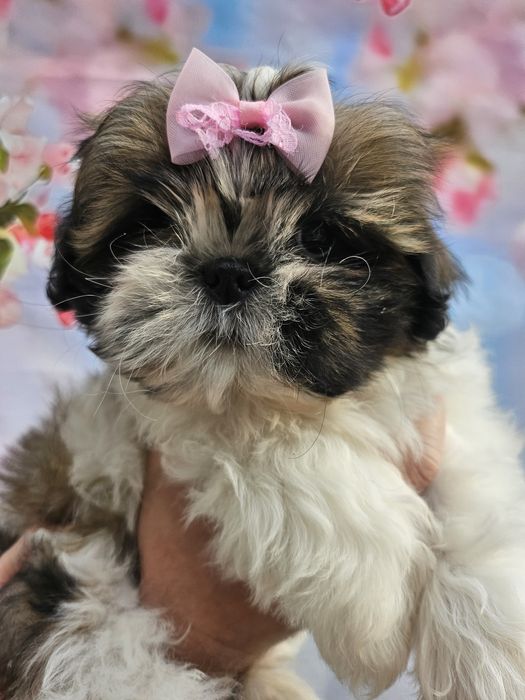 Отличный лайфхак  для сплочение семьи