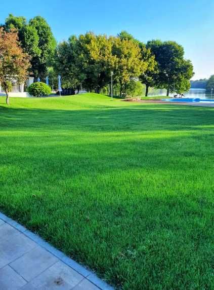 Gazon Natural Verde Intens pentru Curți Moderne