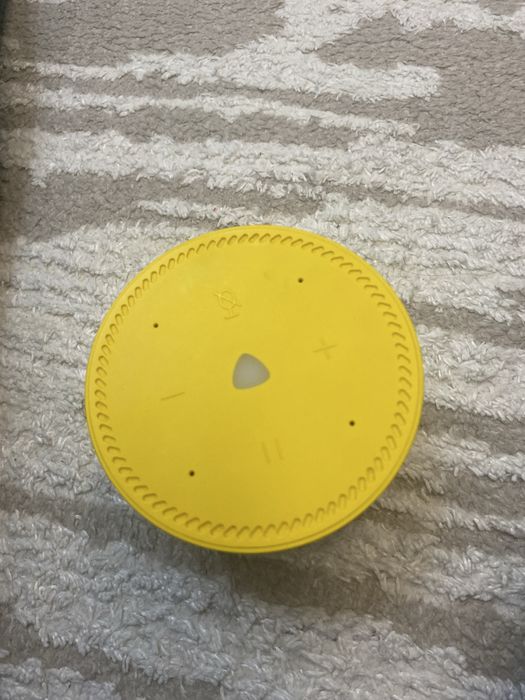 Алиса с каробками