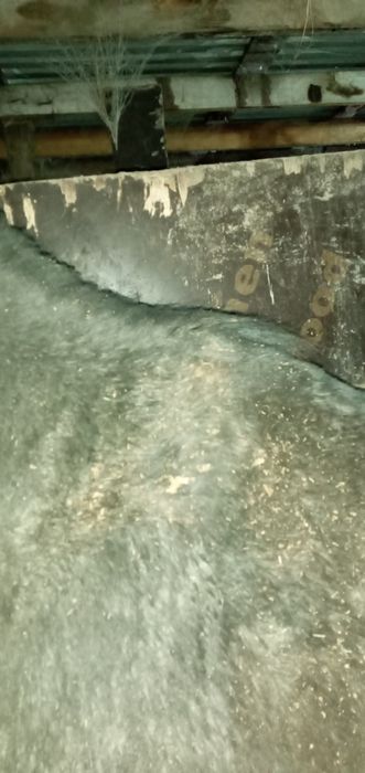 Продаётся лошадь 100дней на корме стоит