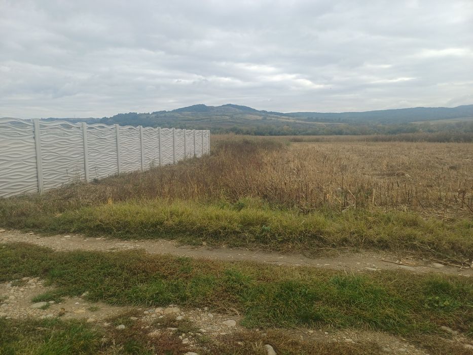 Vând teren intravilan în Băcia