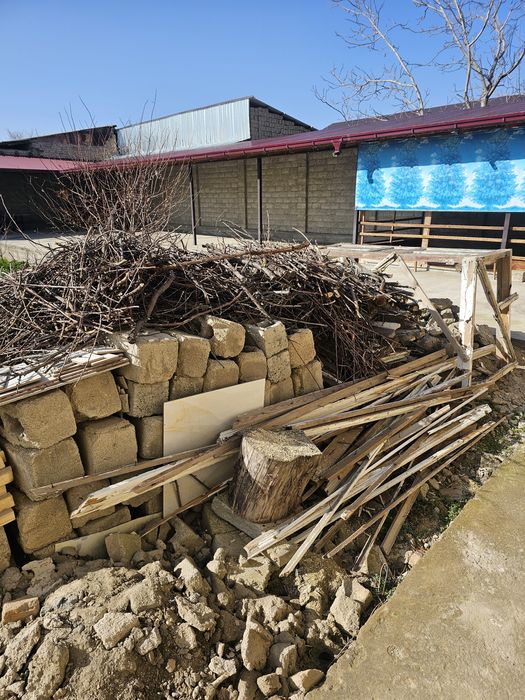 Дрова утин мевали дарахтники срочно сотилади