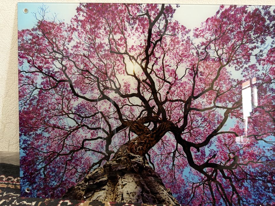 Картинки для дома не дорого