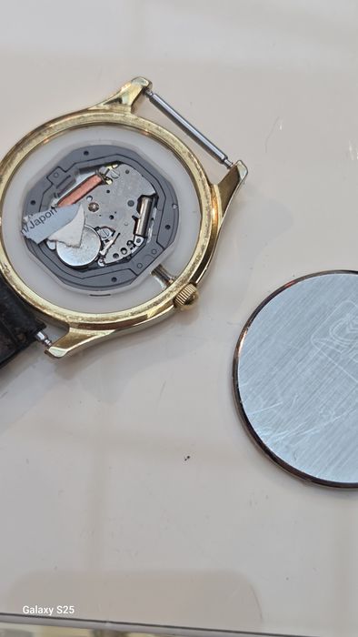 Ceas Citizen  faction