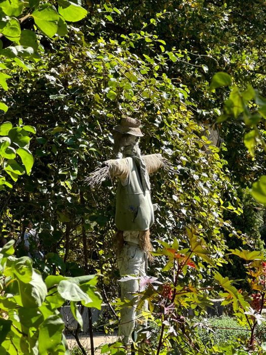 Биогумус натуральное удобрение