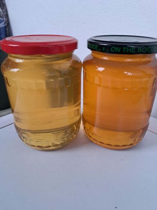 Miere rapita si salcam 2025 angro