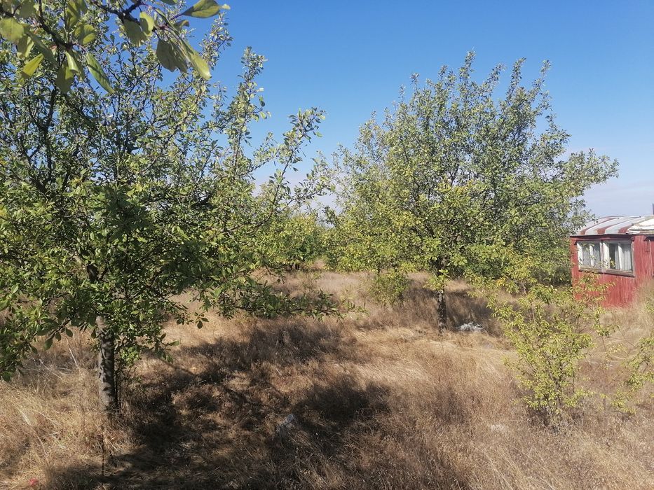 Продавам земеделска земя- овощна градина с. Левски