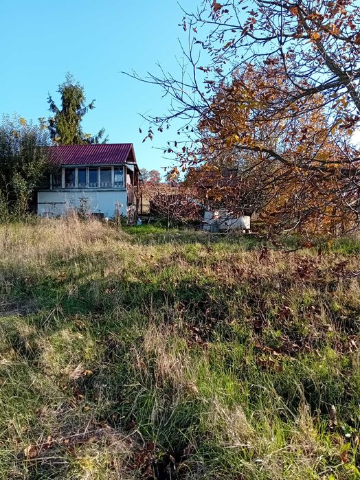 Grădină cu cabană