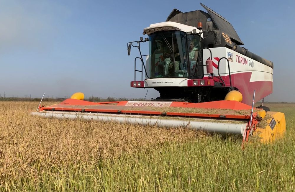 Жатка очёсывающая Эффекта