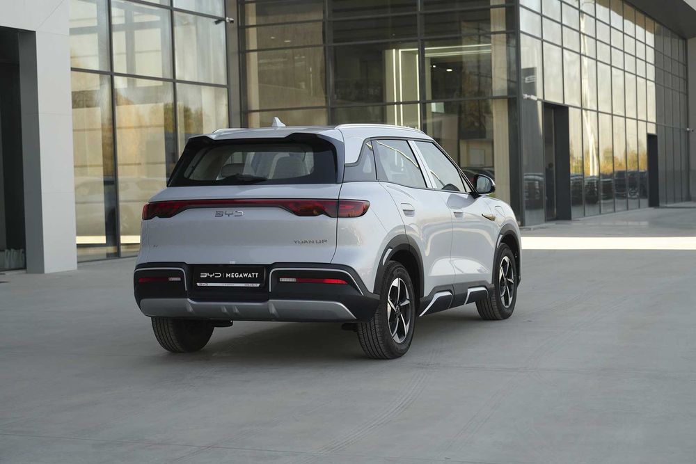 Yuan Up 401KM Flagship