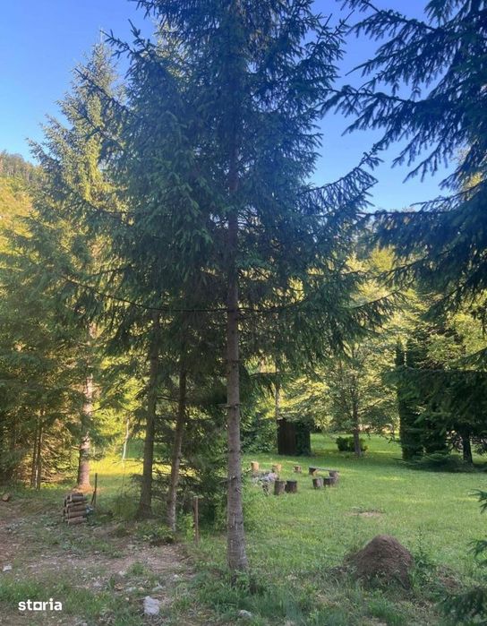 Cabana,Cu Teren De 1500 Mp