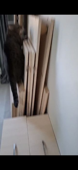 Срочно Продам Шкаф  8000тг