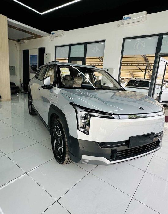 Dongfeng Nammi rassrochkaga bor