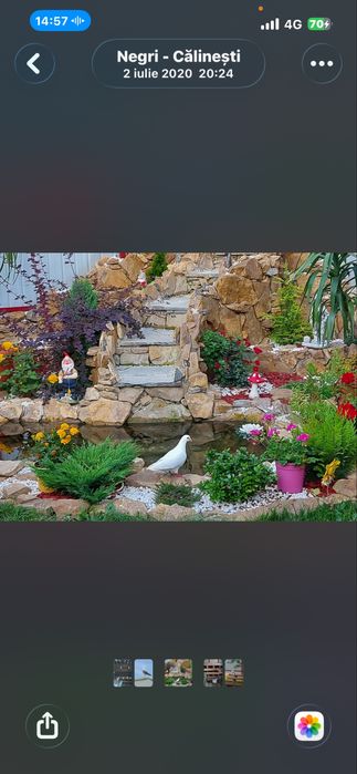 Porumbei albi foarte frumosi