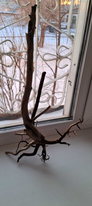 Коряга для аквариума