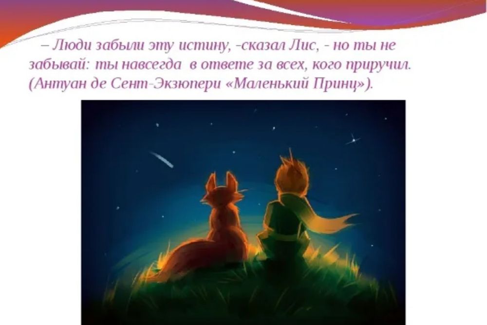 Отдам кошку британка