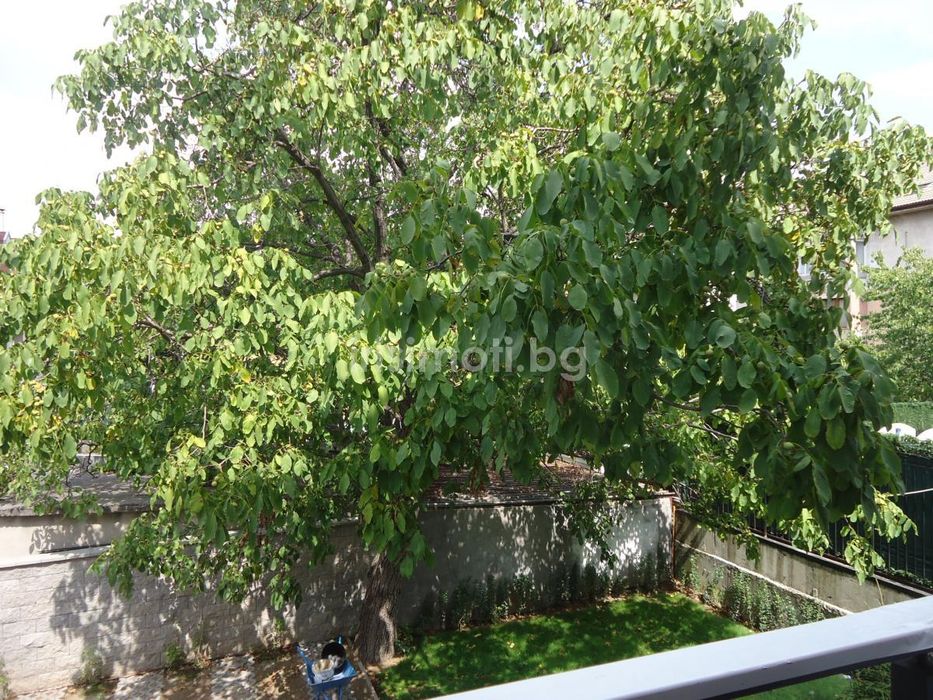 Продава се Тристаен апартамент в София, Бъкстон - 109 кв.м за 2432 €/кв.м - Снимка #7