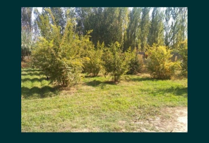 Тез суратда Уй сотилади Арзон ...