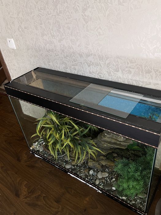 Аквариум 95x62x30
