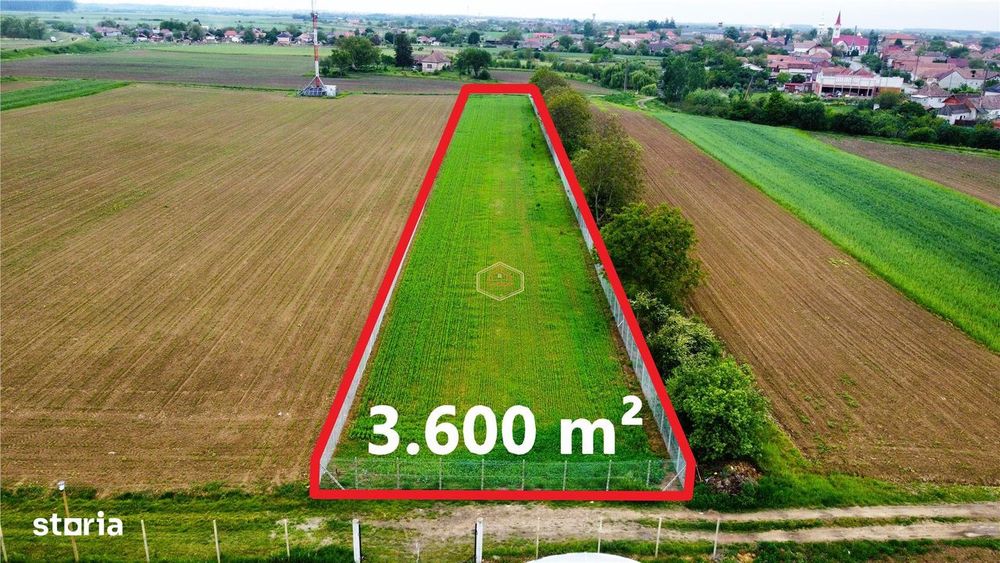 Teren 3.600 m² in Odoreu | 7 km de Satu Mare | 160 m de Principala