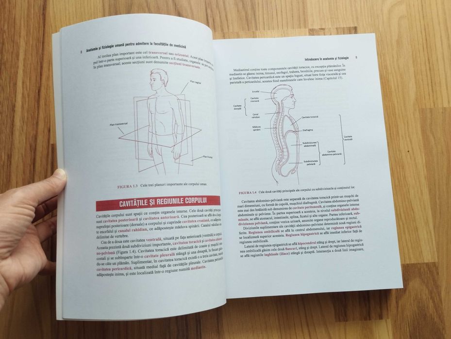 Anatomie Barron's 2022