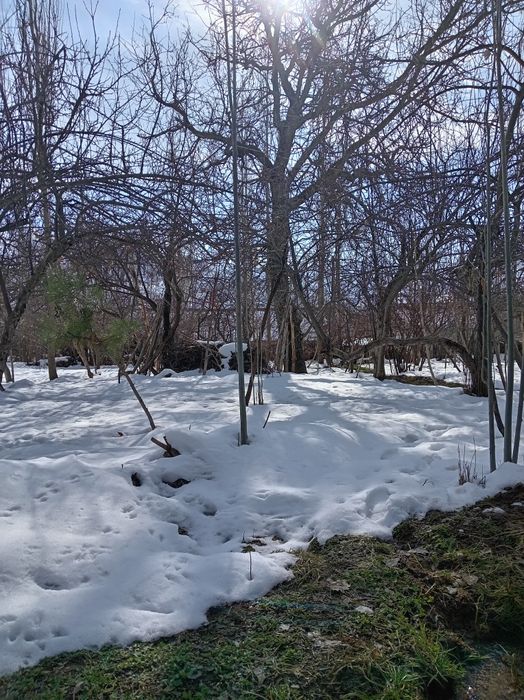 Bustonliq tumani sijjak qishlog'i yer sotiladi