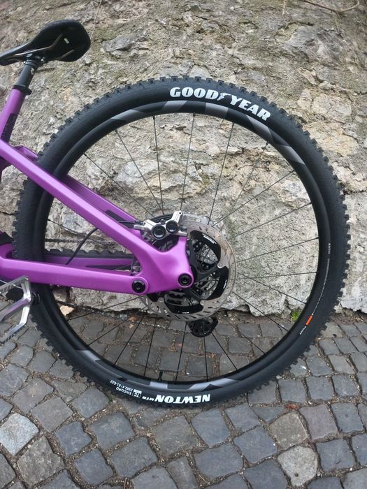 Transition Sentinel Carbon Deep Purple 2025 L